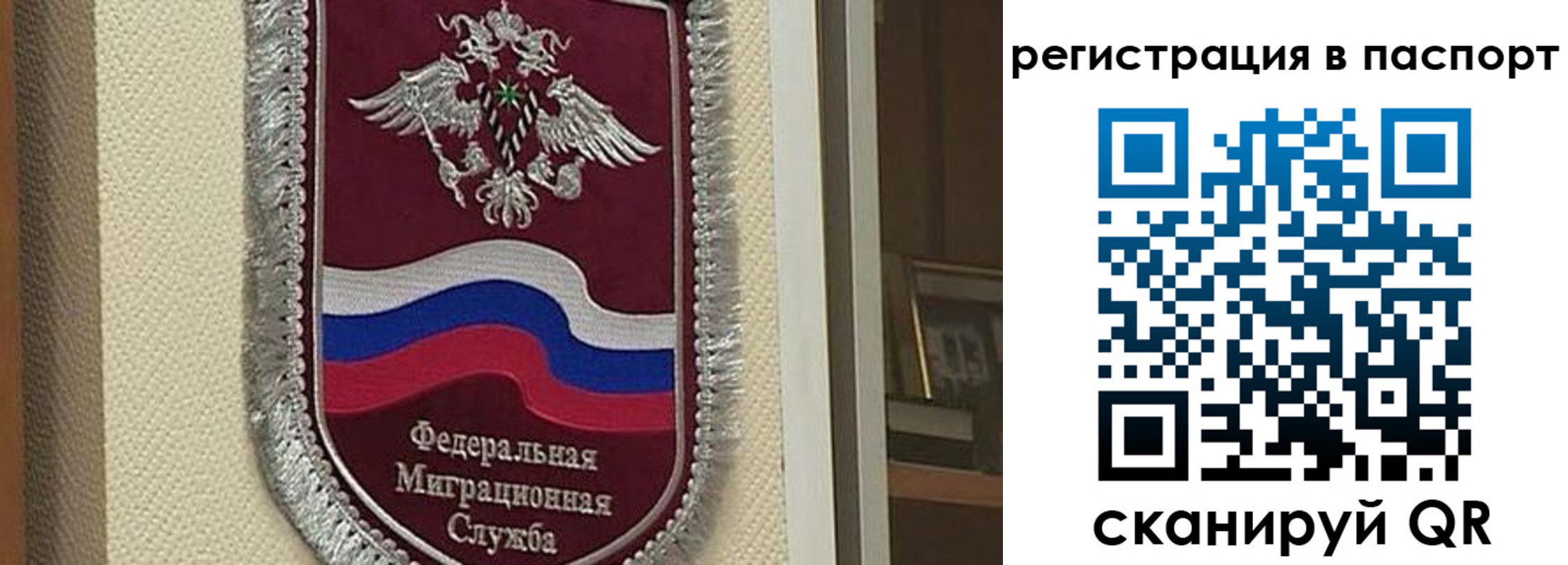прописка законно в Владимире
